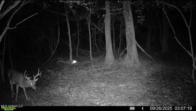 $495,000 | Putnam Road, Belzoni, MS 39038