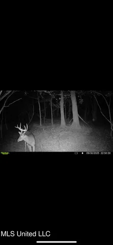 $495,000 | Putnam Road, Belzoni, MS 39038