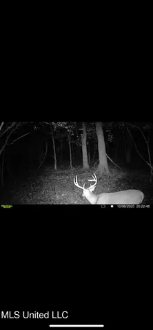 $495,000 | Putnam Road, Belzoni, MS 39038