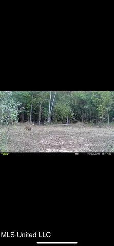 $495,000 | Putnam Road, Belzoni, MS 39038