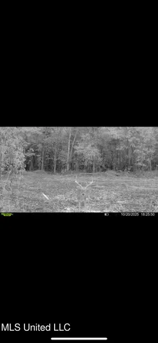 $495,000 | Putnam Road, Belzoni, MS 39038