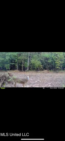 $495,000 | Putnam Road, Belzoni, MS 39038