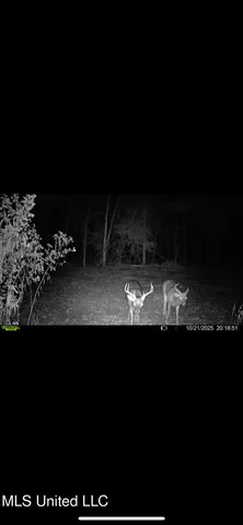 $495,000 | Putnam Road, Belzoni, MS 39038