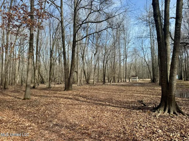 $495,000 | Putnam Road, Belzoni, MS 39038