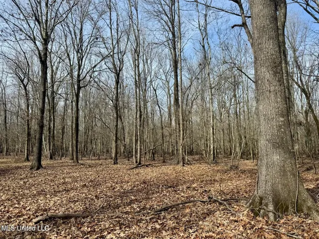 $495,000 | Putnam Road, Belzoni, MS 39038