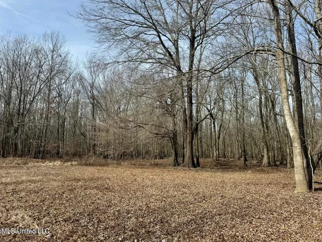 $495,000 | Putnam Road, Belzoni, MS 39038