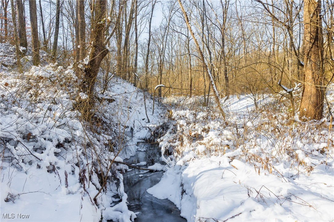 138 Township Road Coshocton, OH 43812 - Photo 32 of 47 Snowy landscape