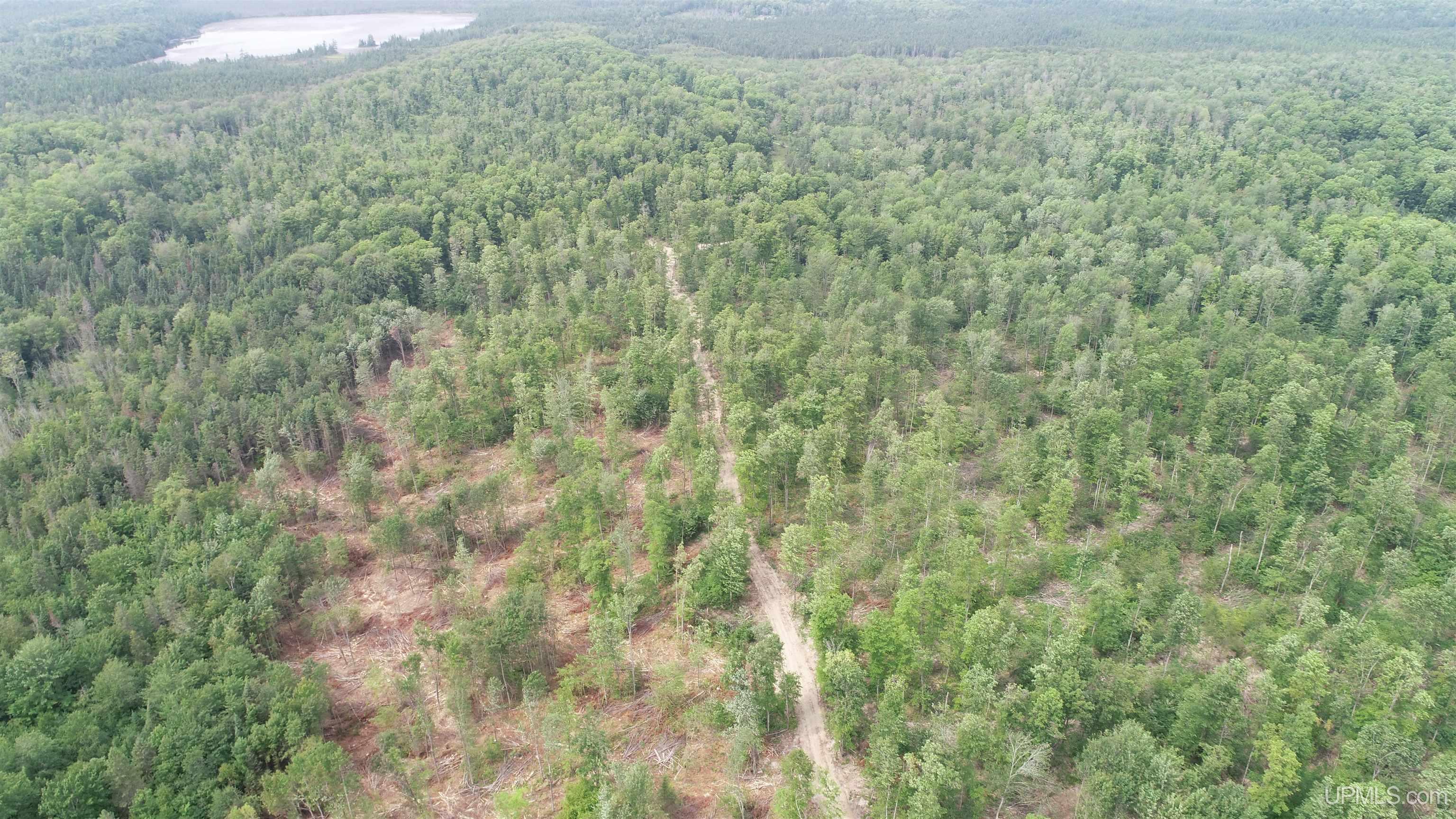 23 Camp 23 Road, Unit NORTH PARCEL Germfask, MI 49836 - Photo 7 of 10