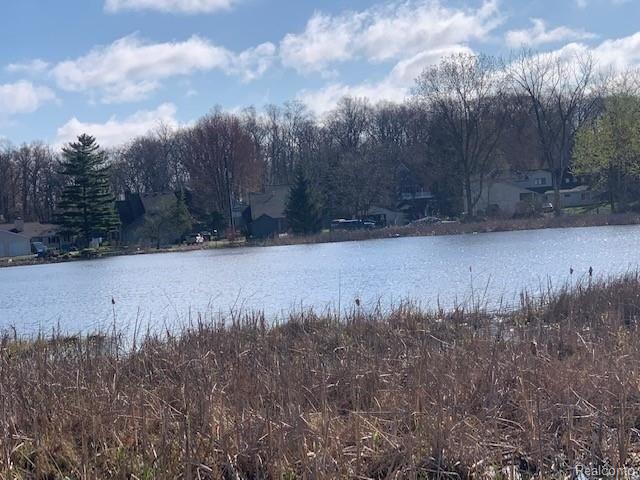 2 Argentine Road Howell, MI 48843 - Photo 4 of 20
