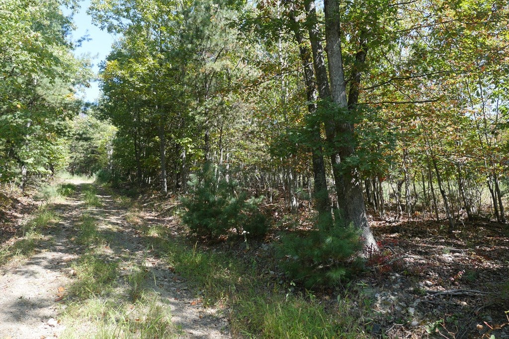 Tbd Hall Hollow Road, Unit 1 Austinville, VA 24312 - Photo 57 of 76 Gallery Image 57