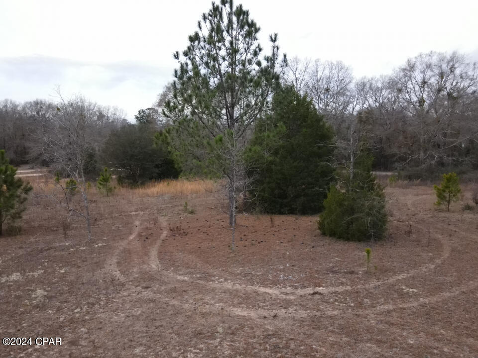 1479 Will Lee Road Bonifay, FL 32425 - Photo 10 of 23 Gallery Image 10
