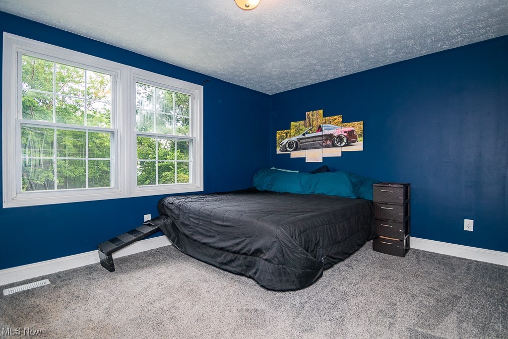 1370 Bennett Road Madison, OH 44057 - Photo 12 of 26