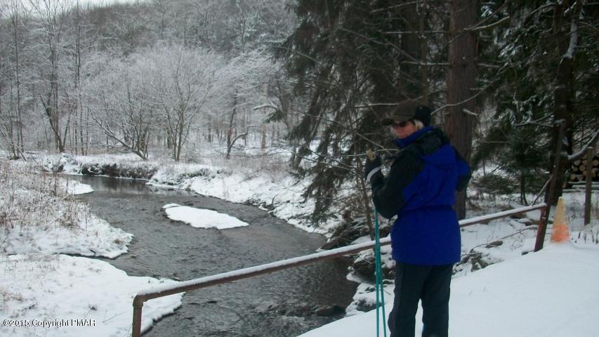 180 Brier Crest Road Blakeslee, PA 18610 - Photo 29 of 32 cross country ski