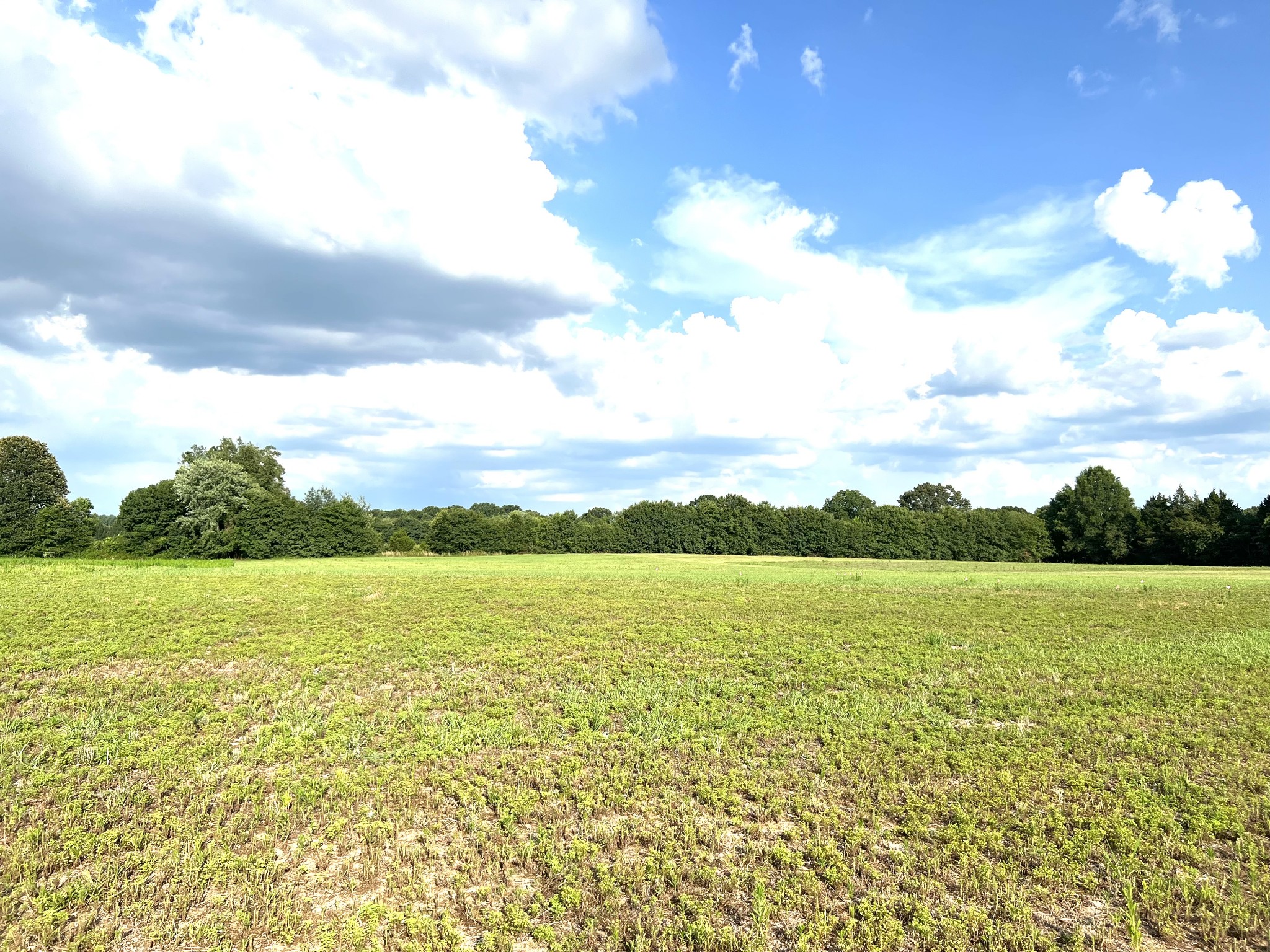 3 Maple Bend Road Winchester, TN 37398 - Photo 4 of 6 Gallery Image 4