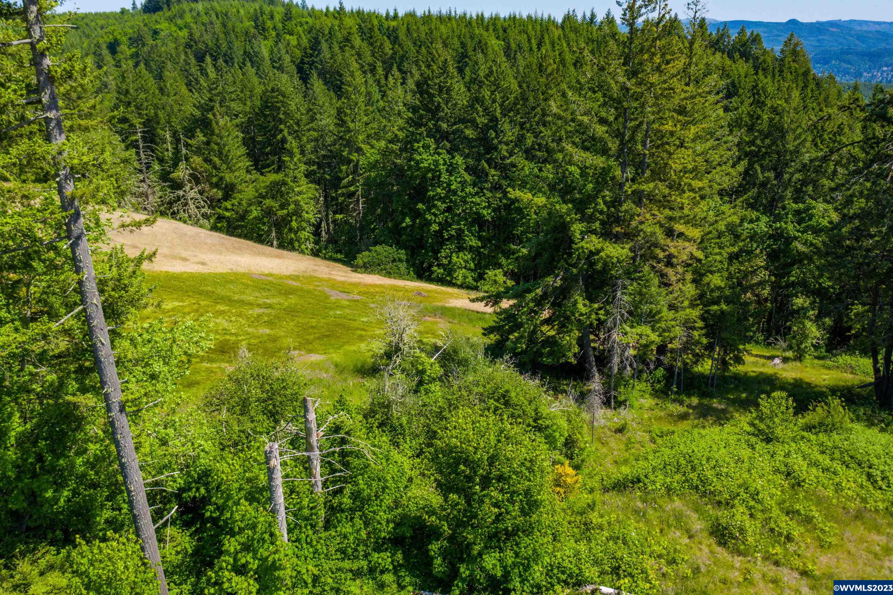 Marks Ridge Sweet Home, OR 97386 - Photo 20 of 32