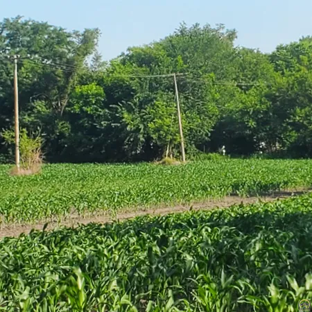 $25,000 | E North 4th Street, Unit EAST PARCEL, Quenemo, KS 66528