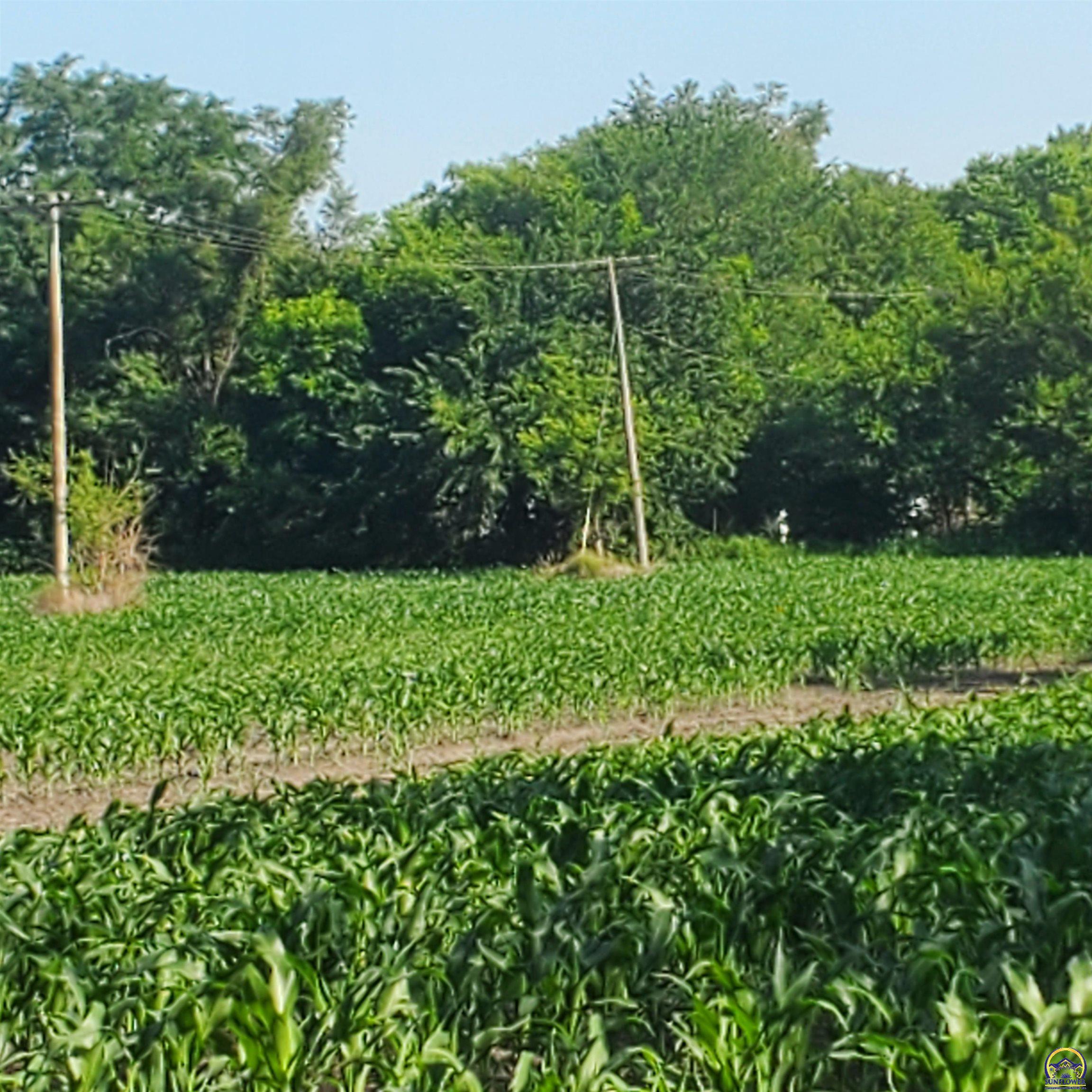 E North 4th Street, Unit EAST PARCEL Quenemo, KS 66528 - Photo 14 of 24