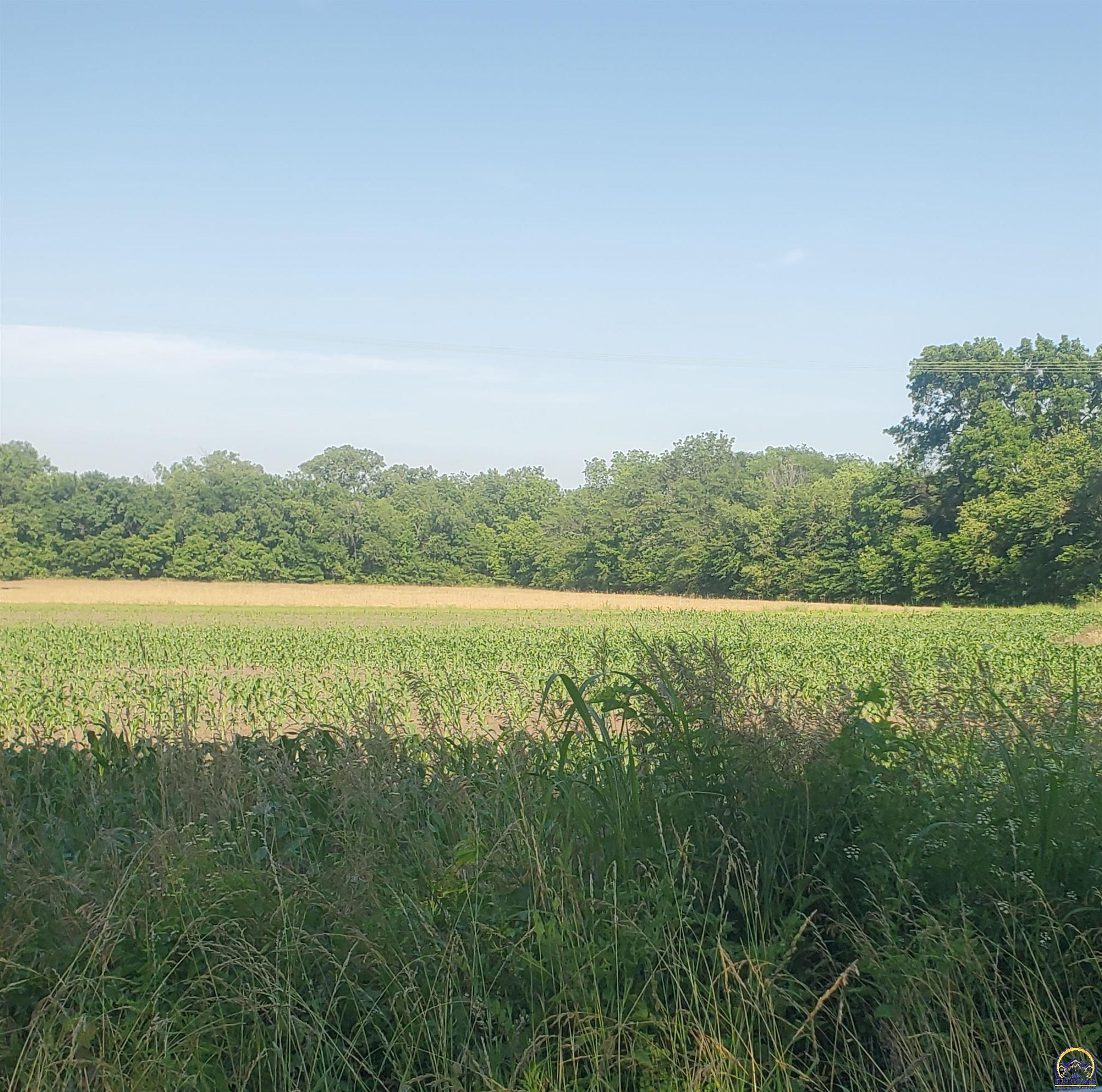 E North 4th Street, Unit EAST PARCEL Quenemo, KS 66528 - Photo 3 of 24