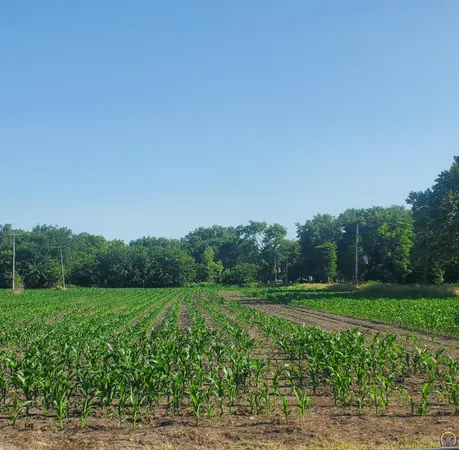 $25,000 | E North 4th Street, Unit EAST PARCEL, Quenemo, KS 66528