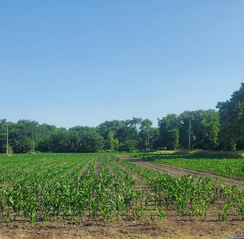 $30,000 | E North 4th Street, Unit EAST PARCEL, Quenemo, KS 66528