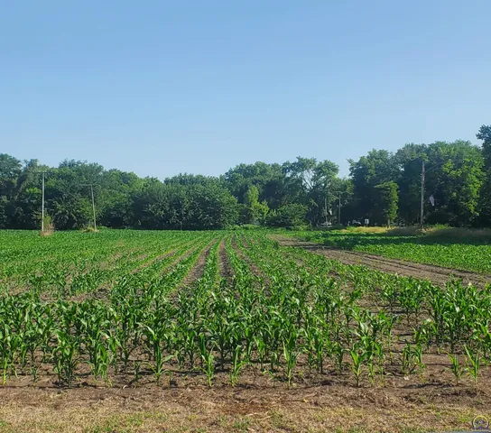 $30,000 | E North 4th Street, Unit EAST PARCEL, Quenemo, KS 66528