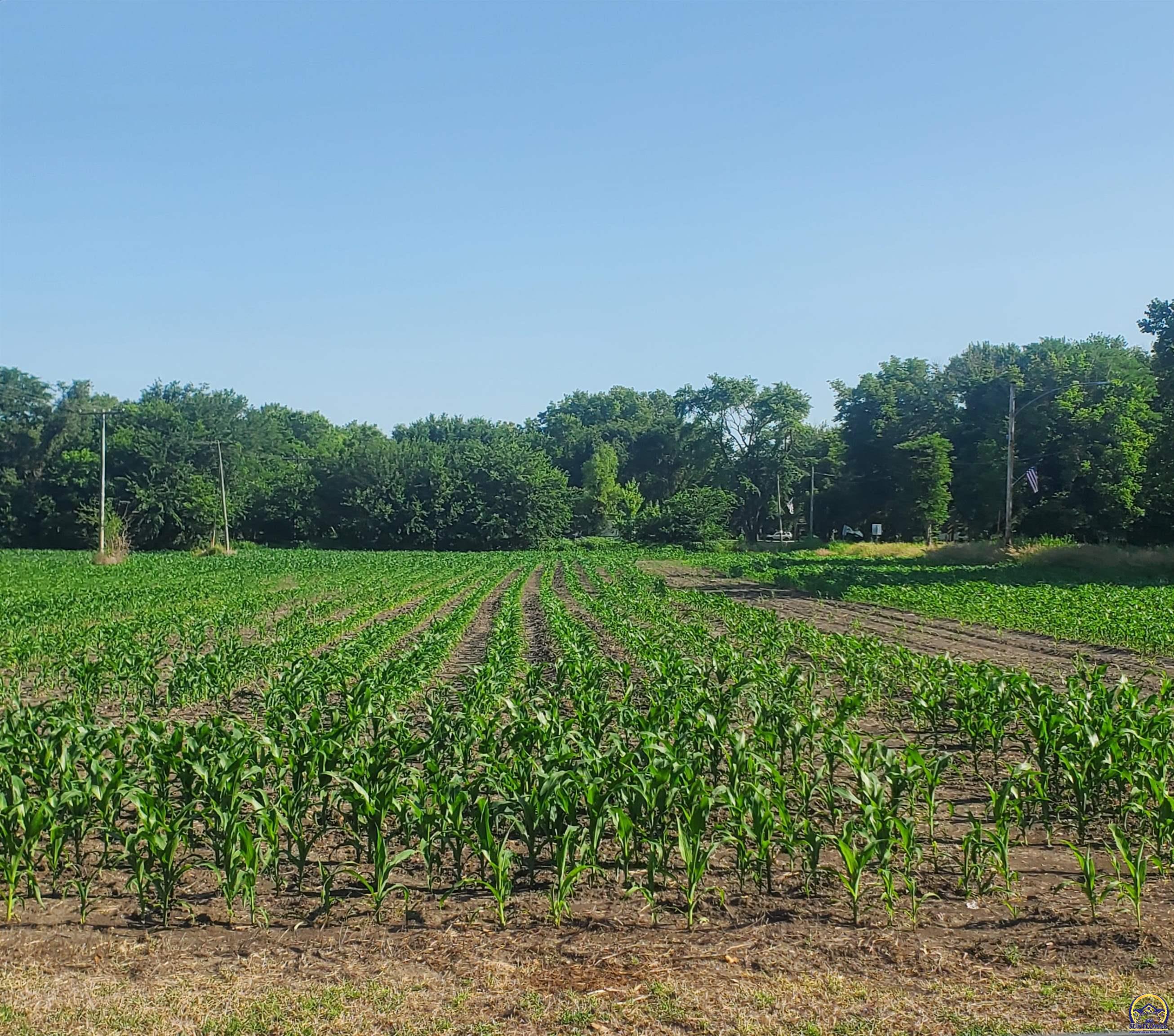 E North 4th Street, Unit EAST PARCEL Quenemo, KS 66528 - Photo 5 of 24