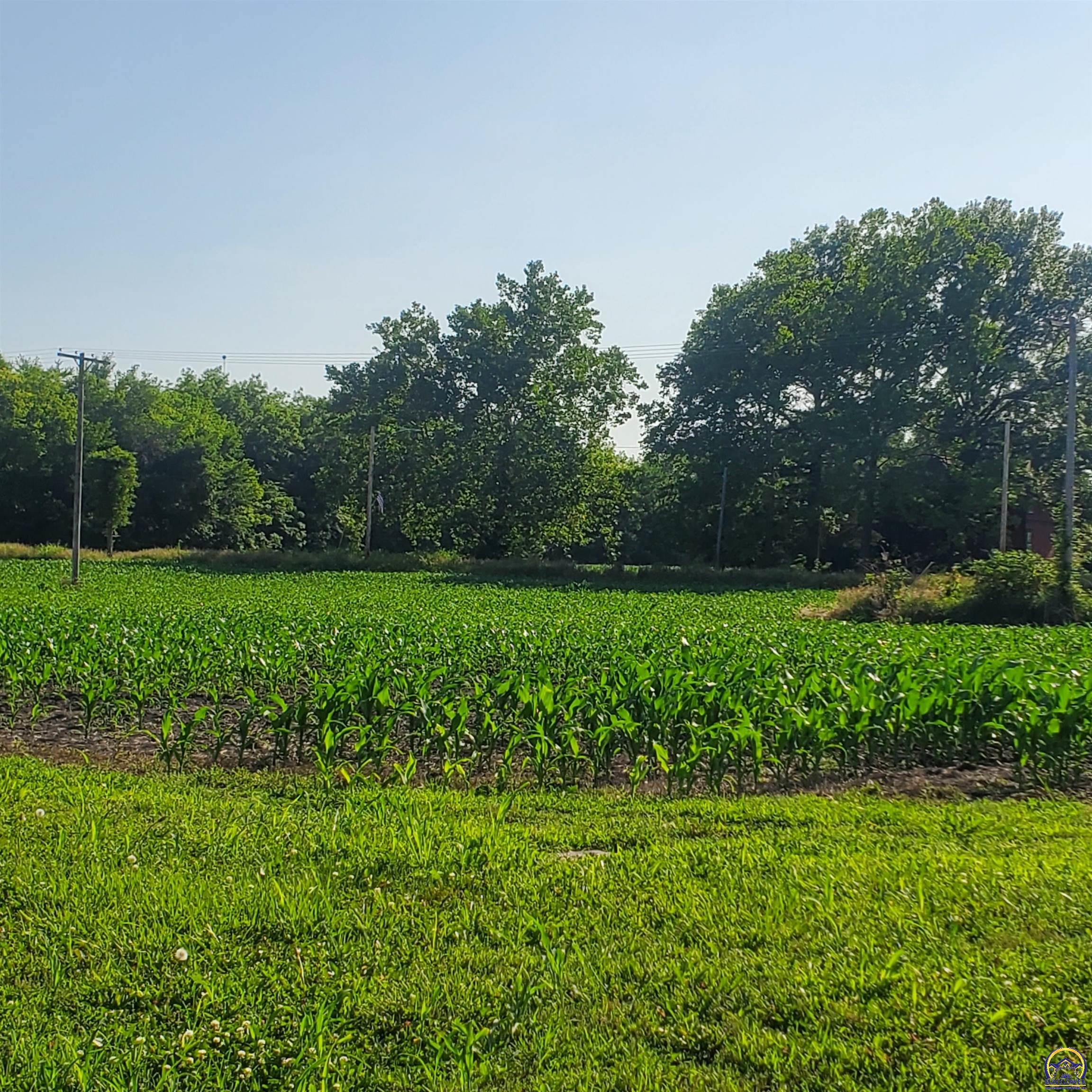 E North 4th Street, Unit EAST PARCEL Quenemo, KS 66528 - Photo 6 of 24