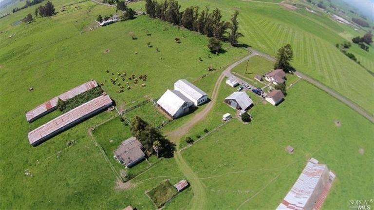 Due to it’s fertile soil, this property can be used for a variety of agricultural purposes.  At one time the owners of 334 Purvine Road gained recognition by being crowned the “National Pumpkin Champions” for growing the largest pumpkins in the United States.