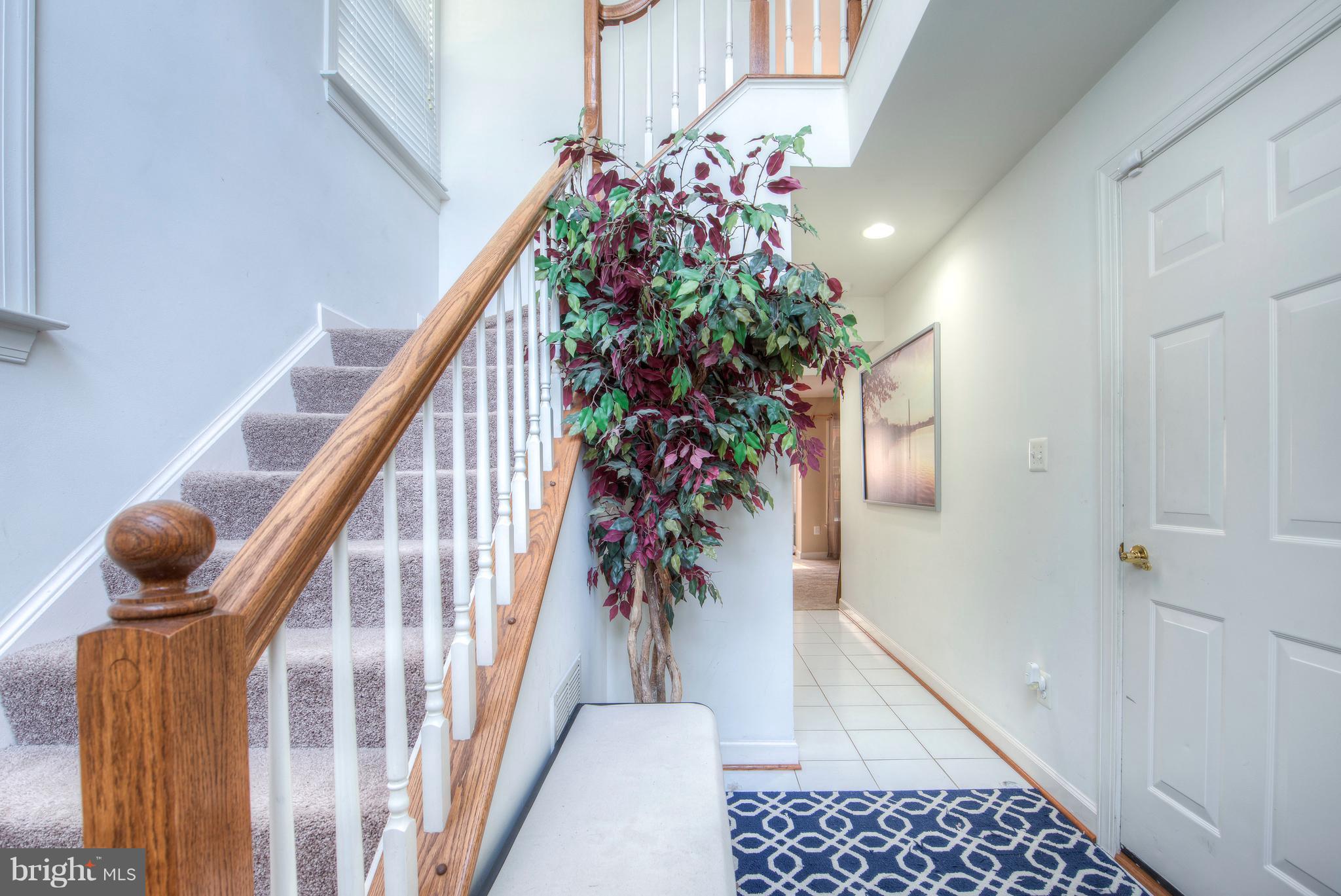 15600 Avocet Loop Woodbridge, VA 22191 - Photo 19 of 29 Interior (General)
