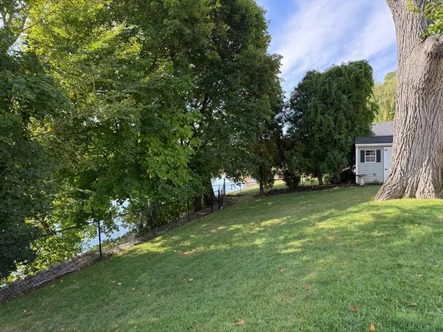 a view of a trees in a yard