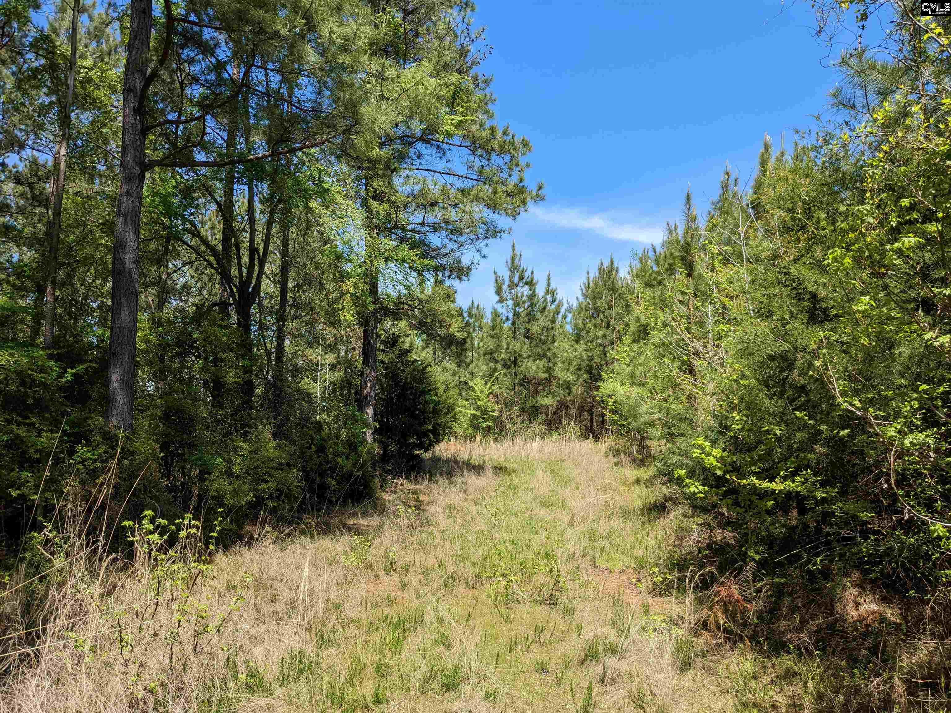 Old Hillcrest School Road Winnsboro, SC 29180 - Photo 22 of 95