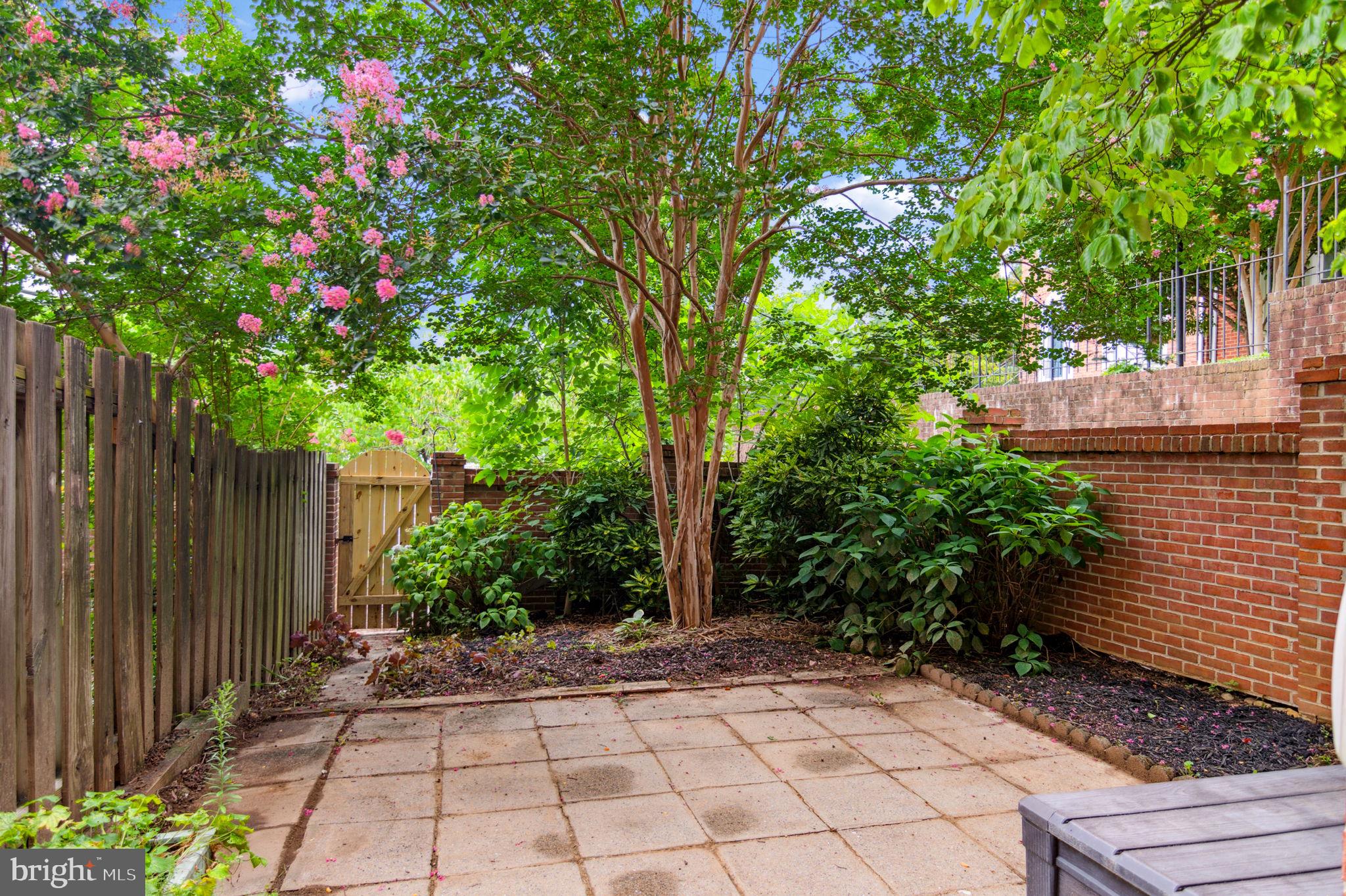 2021 South Glebe Road Arlington, VA 22206 - Photo 29 of 34 Gallery Image 29