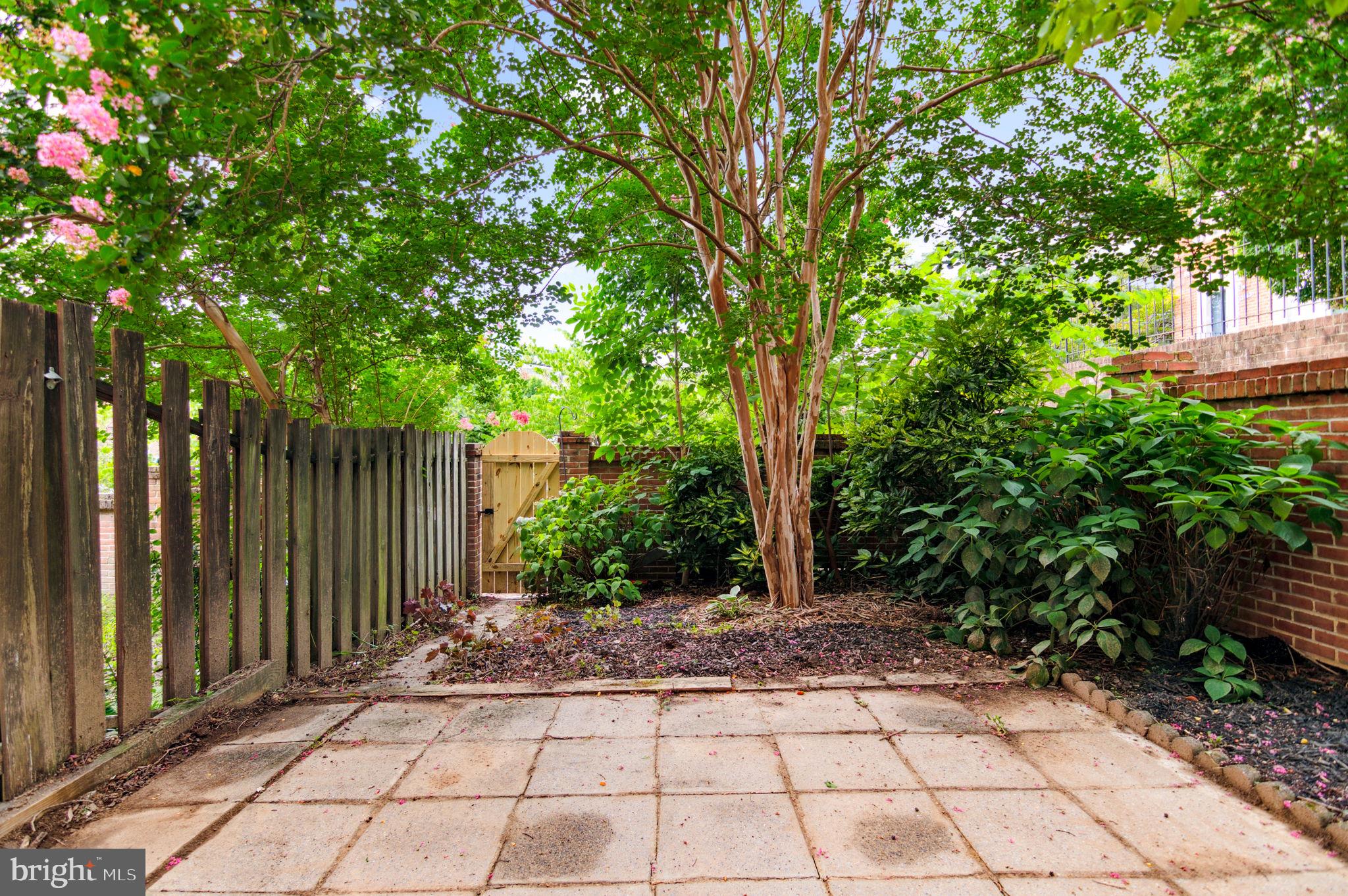 2021 South Glebe Road Arlington, VA 22206 - Photo 30 of 34 Gallery Image 30