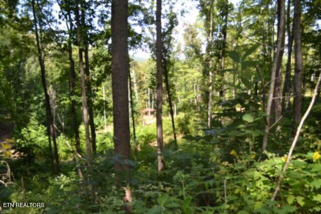9.85-ac Rock Springs Road Celina, TN 38551 - Photo 30 of 48 DSC_0081