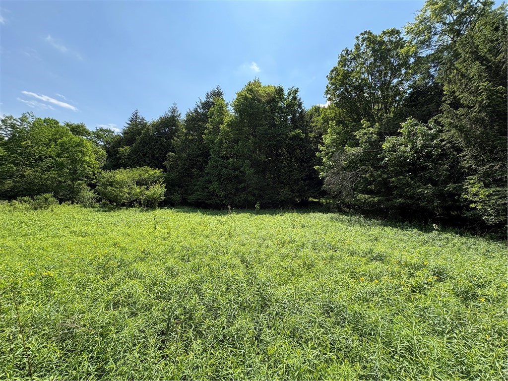 Stage Road South Otselic, NY 13155 - Photo 24 of 29