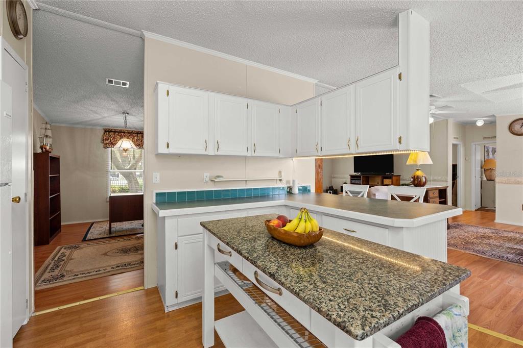 34945 Buck Road Zephyrhills, FL 33541 - Photo 14 of 47 Gallery Image 14