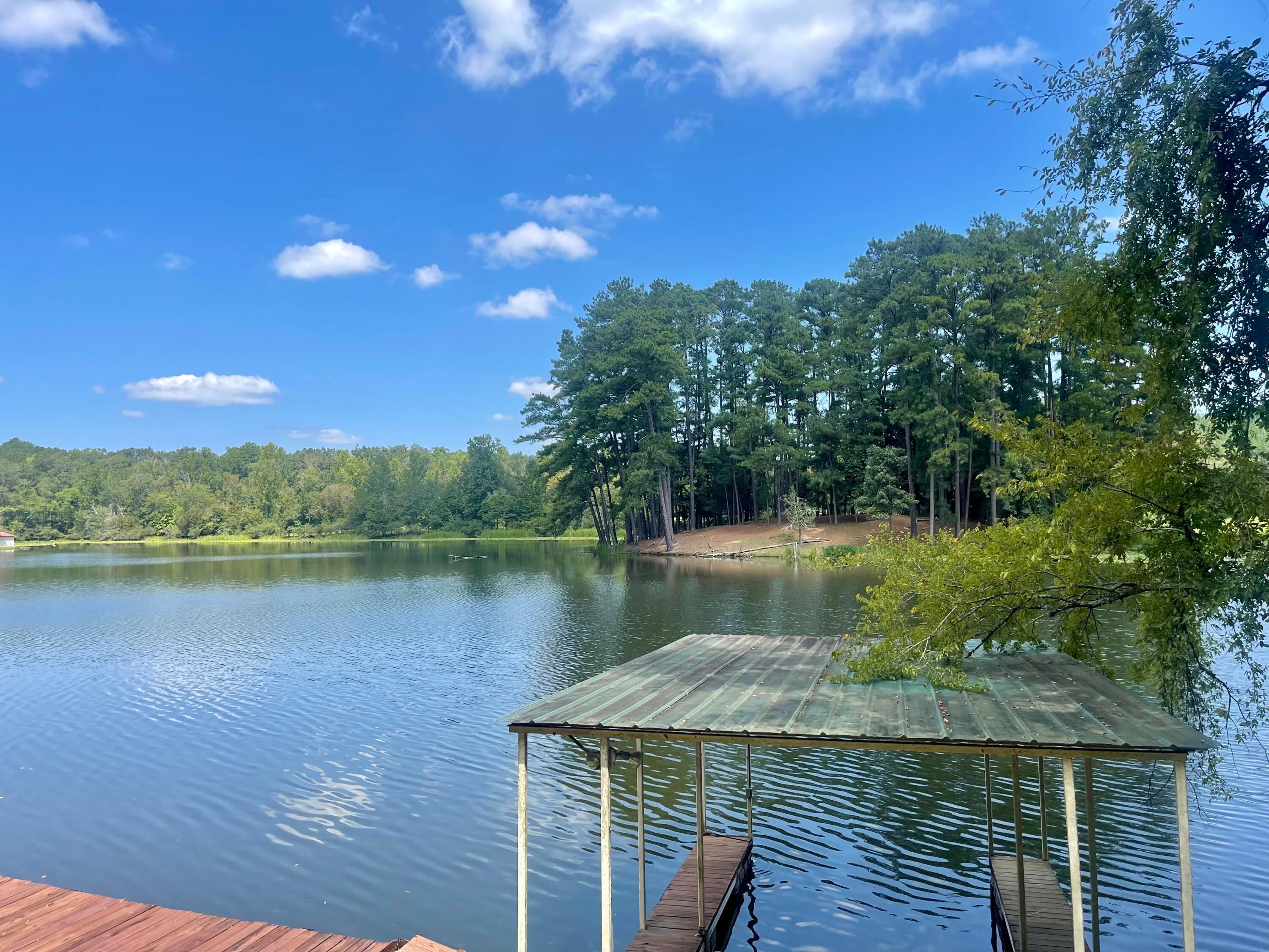 284 Chappell Road Parrish, AL 35580 - Photo 18 of 22 Gallery Image 18