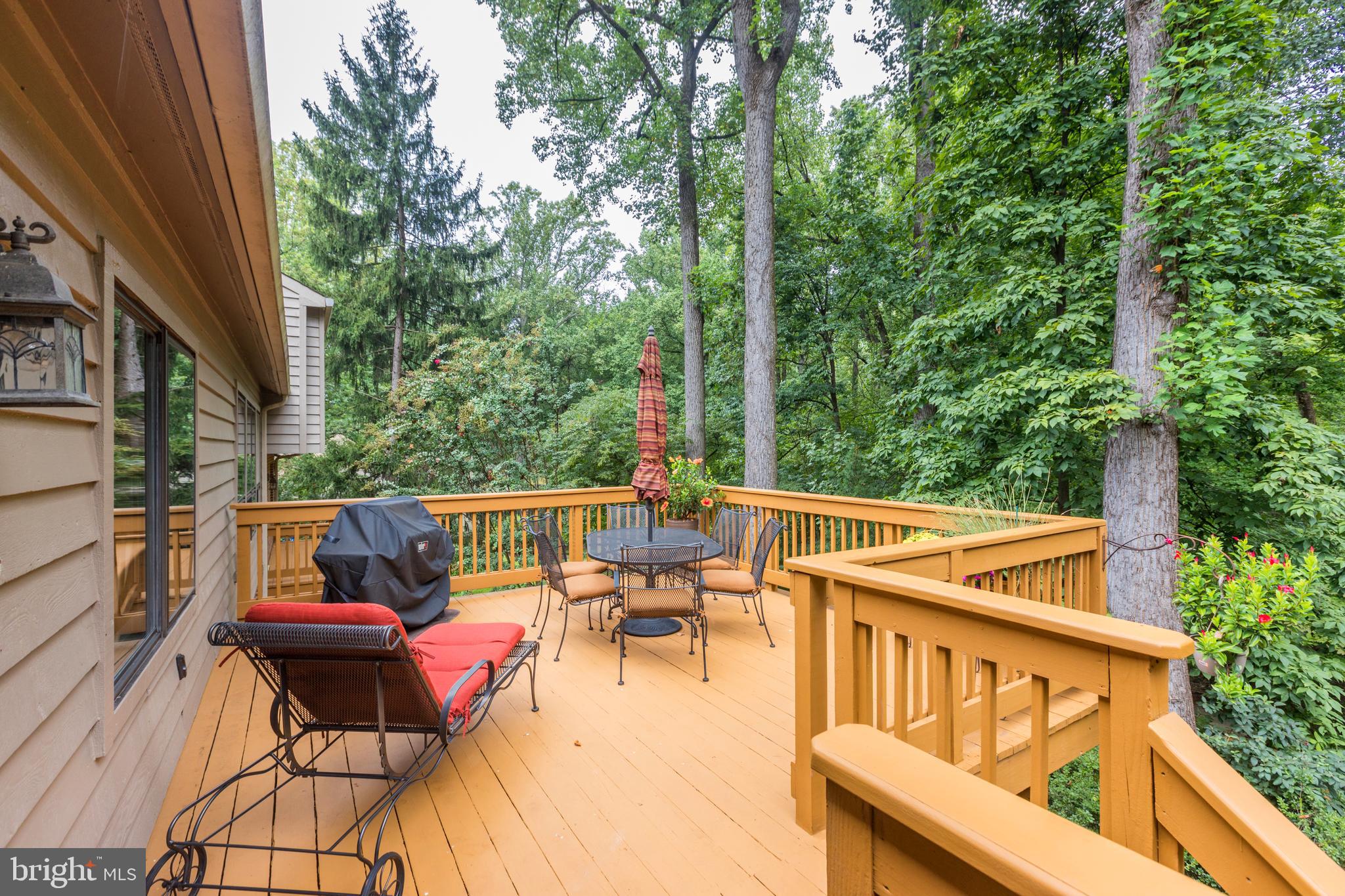 7338 Hooking Road McLean, VA 22101 - Photo 16 of 61 Top Deck - Perfect Tree House