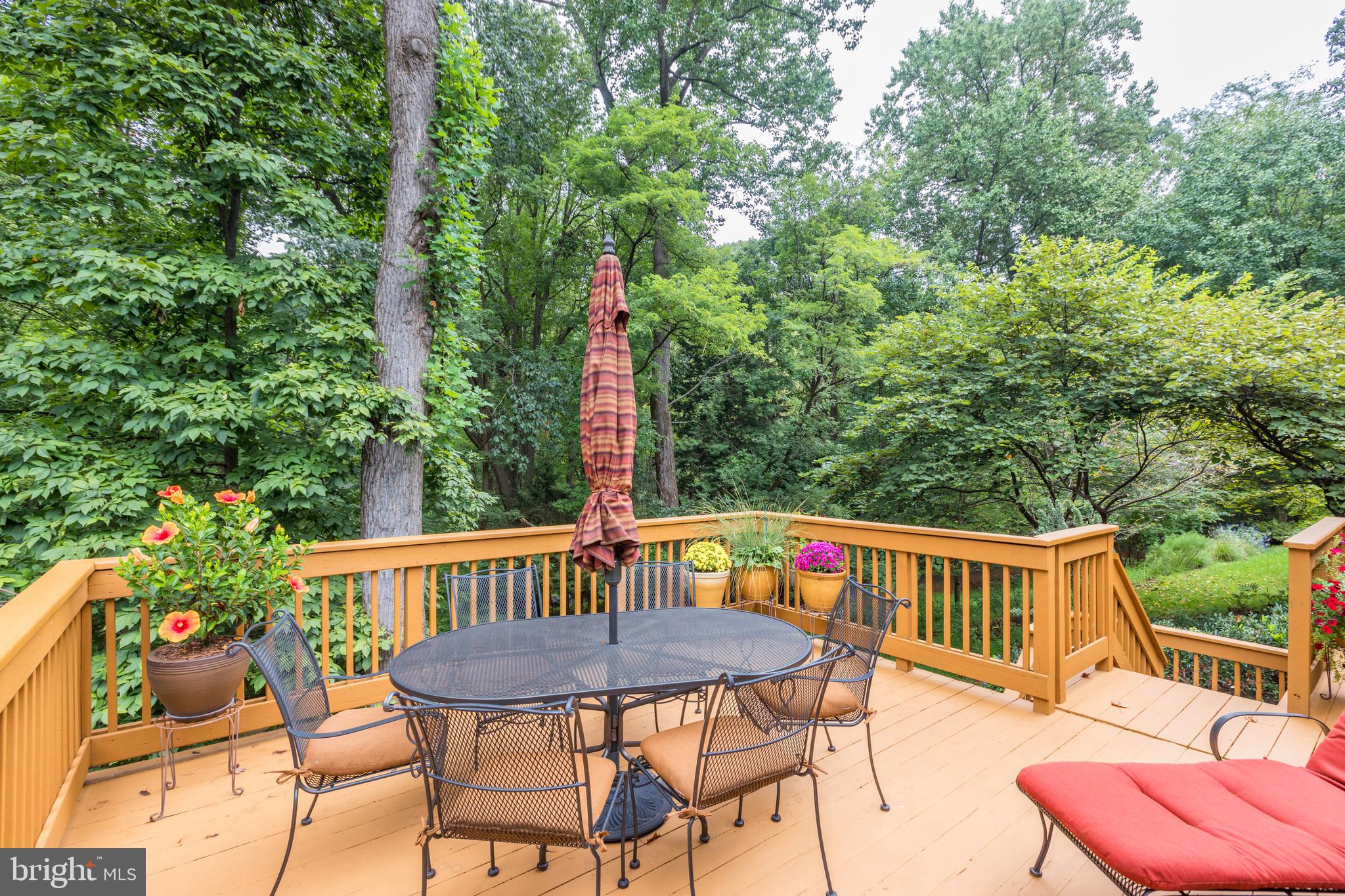 7338 Hooking Road McLean, VA 22101 - Photo 17 of 61 Gallery Image 17
