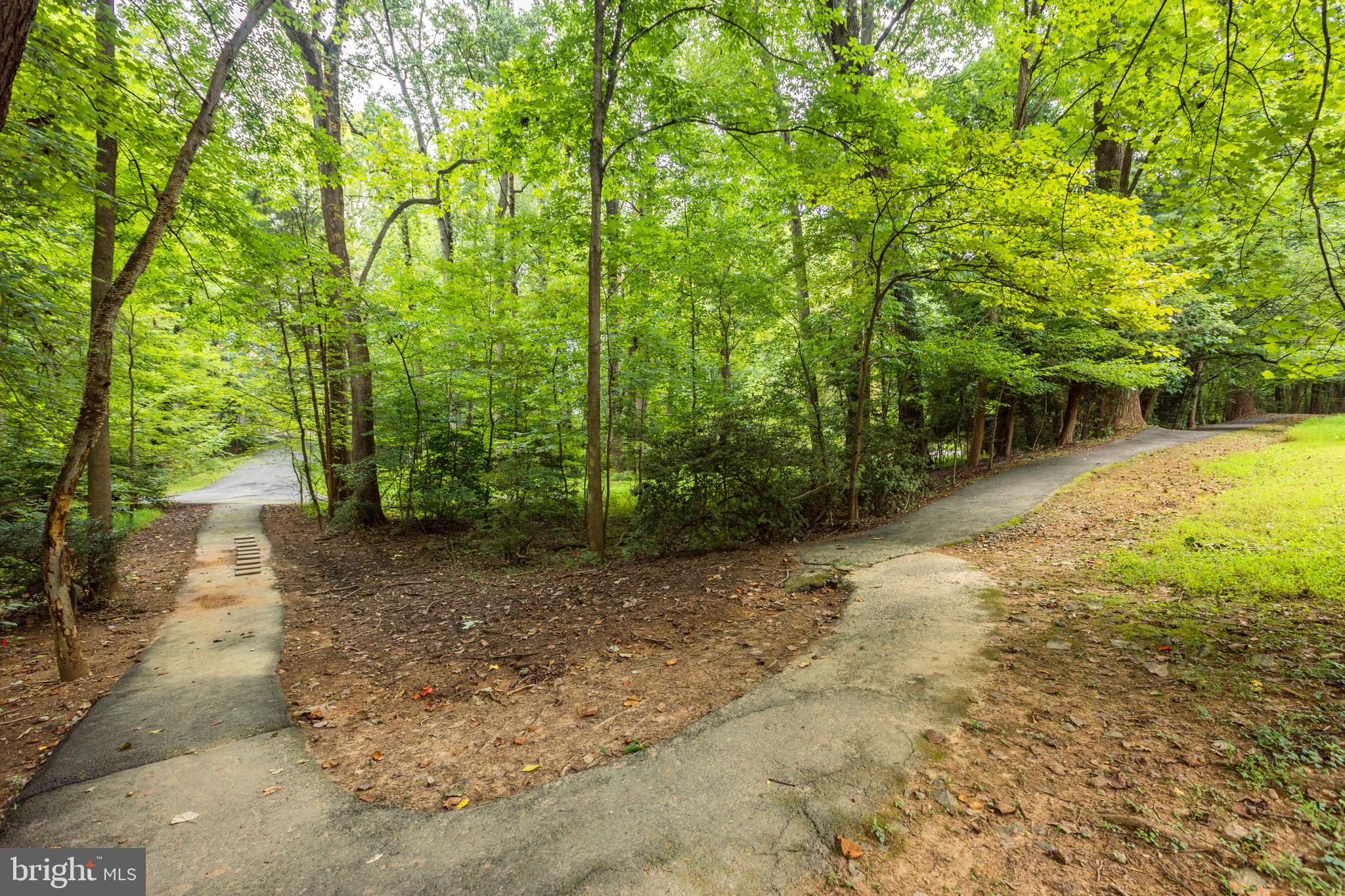 7338 Hooking Road McLean, VA 22101 - Photo 60 of 61 Neighborhood Walking Path