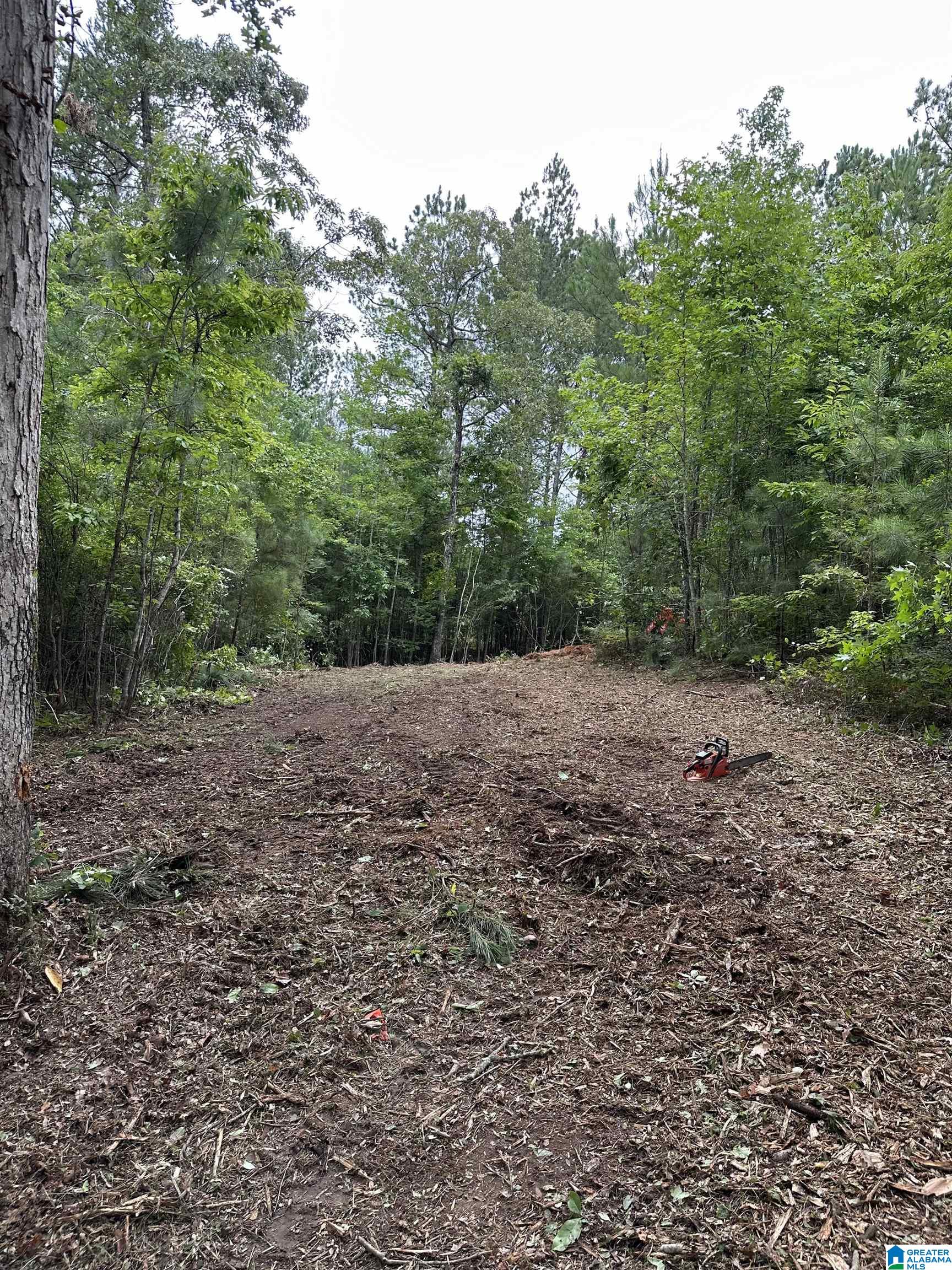 Stillwaters Trail, Unit 155 Sylacauga, AL 35151 - Photo 3 of 15