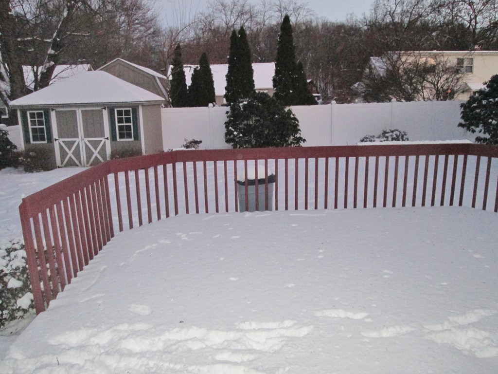117 Reed Street Agawam, MA 01001 - Photo 29 of 29 Gallery Image 29