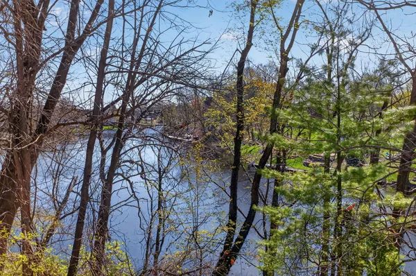 $399,900 | 10791 Woodbrook Drive, Cement City, MI 49233