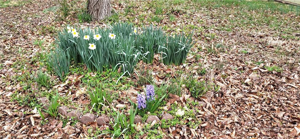447 Providence Church Road Randleman, NC 27317 - Photo 13 of 50 Gallery Image 13