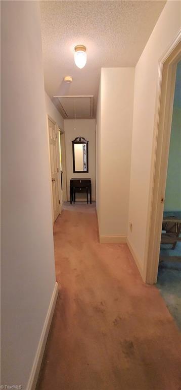447 Providence Church Road Randleman, NC 27317 - Photo 24 of 50 Gallery Image 24