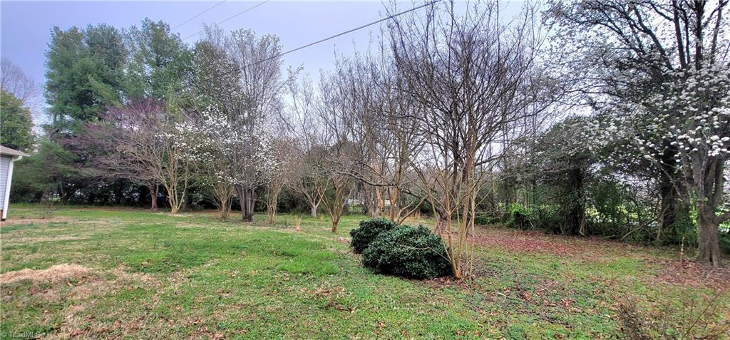 447 Providence Church Road Randleman, NC 27317 - Photo 4 of 50 Gallery Image 4