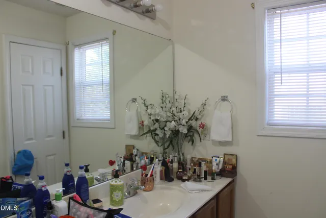 a bathroom with a potted plant on the counter and a sink