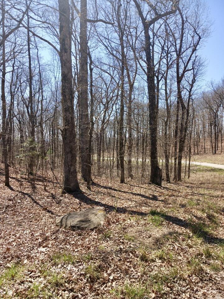 1670 Overlook Trail Spring City, TN 37381 - Photo 1 of 14 overlook5