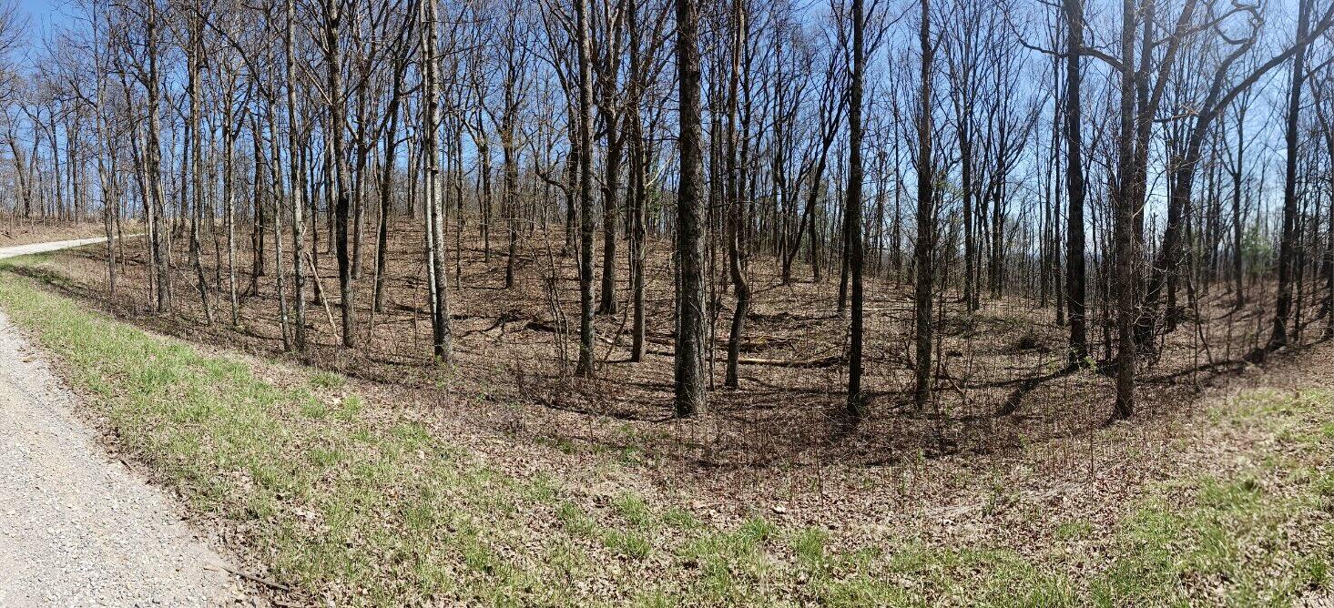 1670 Overlook Trail Spring City, TN 37381 - Photo 12 of 14 overlook12