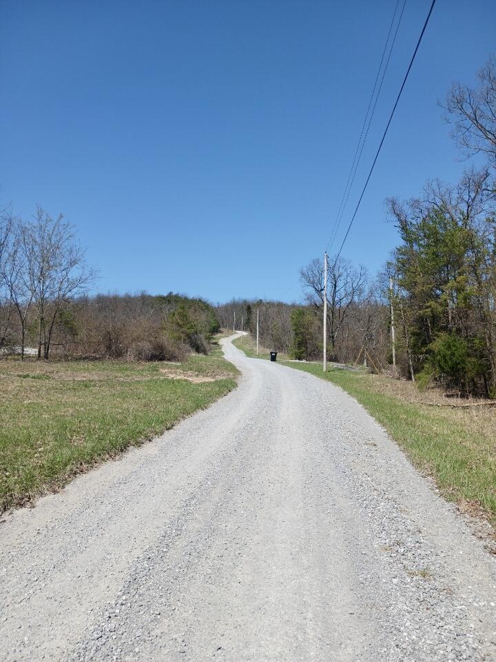 1670 Overlook Trail Spring City, TN 37381 - Photo 13 of 14 overlook13